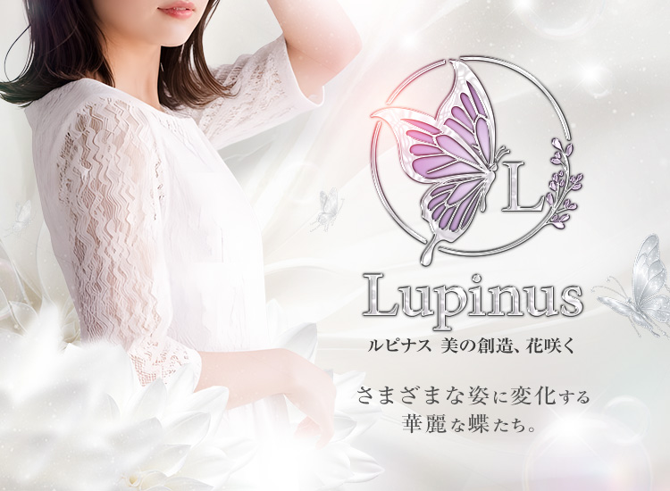 Lupinus（ルピナス）